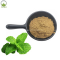 The Best Lemon Balm Extract Melissa Officinalis Extract